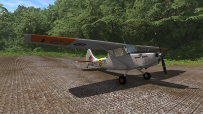 Cessplane L19 thumbnail 3
