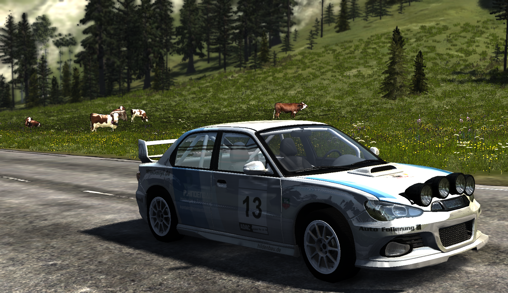 Sunburst Hildenbau Rally Skin thumbnail 2