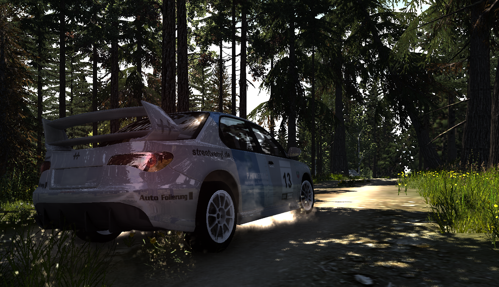 Sunburst Hildenbau Rally Skin thumbnail 3