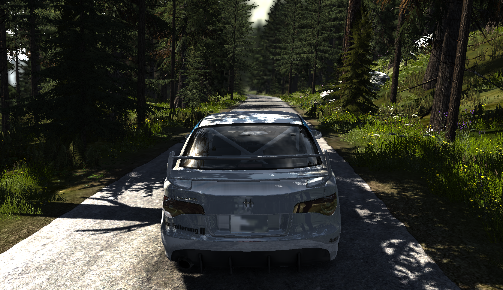 Sunburst Hildenbau Rally Skin thumbnail 4