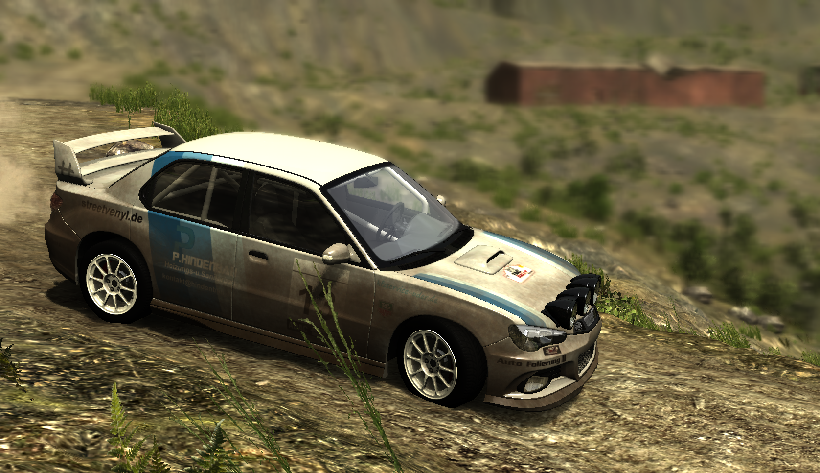 Sunburst Hildenbau Rally Skin thumbnail 8
