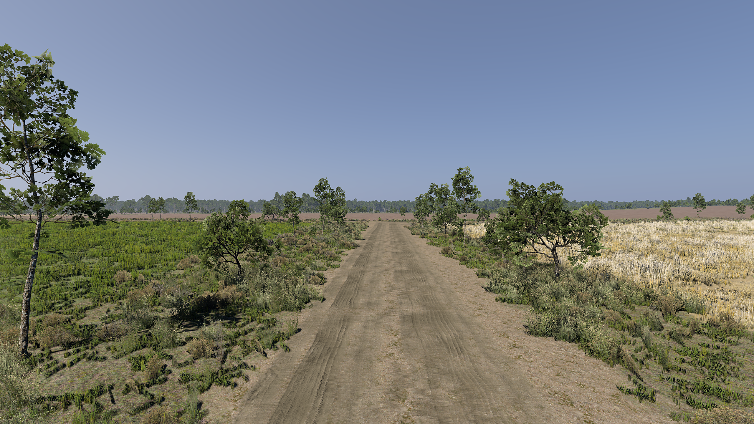 Texas, USA thumbnail 5