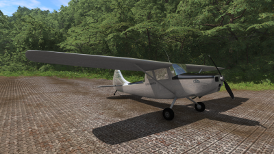 Cessplane L19 thumbnail 5